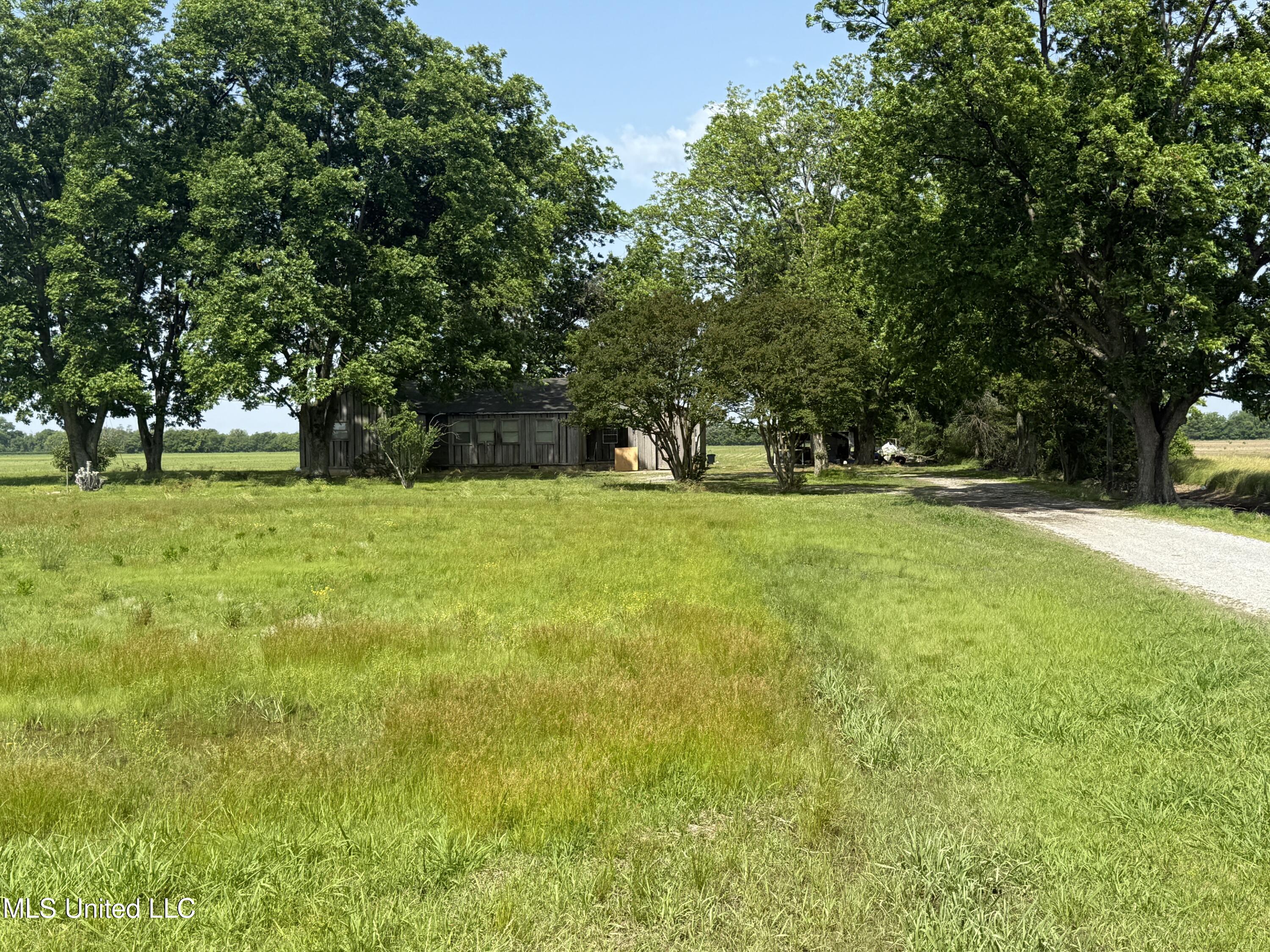 111 Muzzi Road Shaw, MS 38773 - Photo 16 of 16 View from road