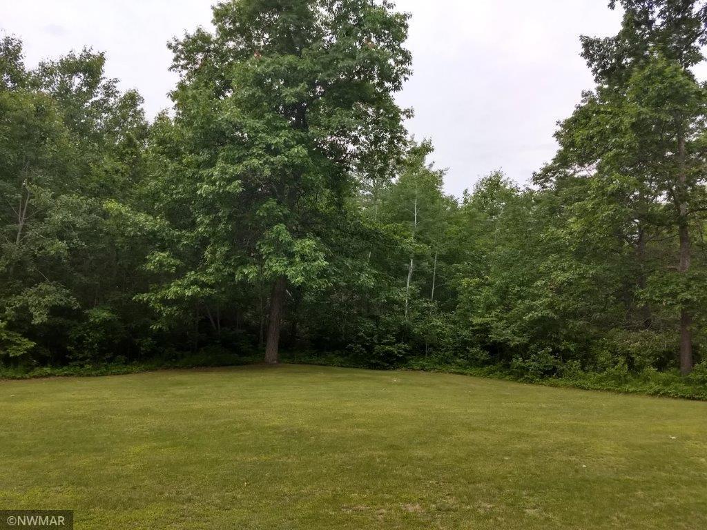 Tbd Lomond Loop Bagley, MN 56621 - Photo 1 of 1 Gallery Image 1