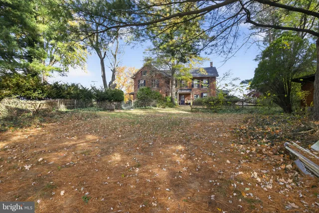 a view of a field with large trees
