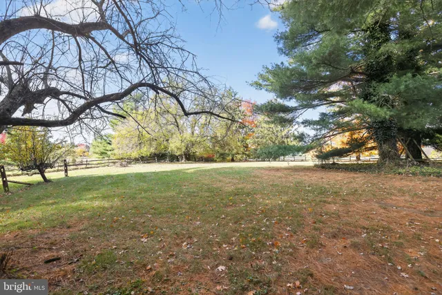 a view of yard with trees