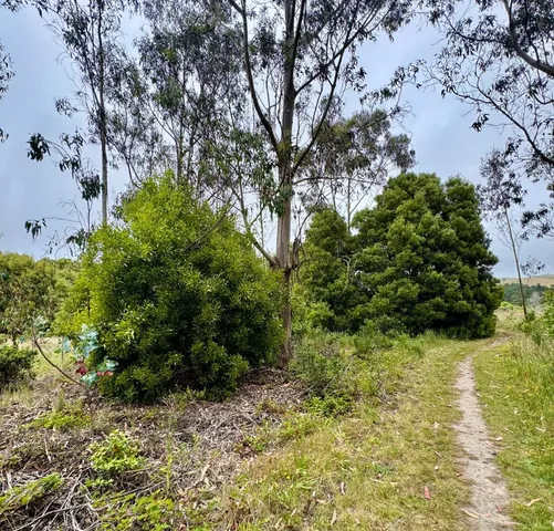 $85,000 | 0 Bonita, Half Moon Bay, CA 94019