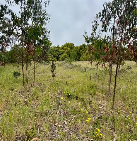 $85,000 | 0 Bonita, Half Moon Bay, CA 94019