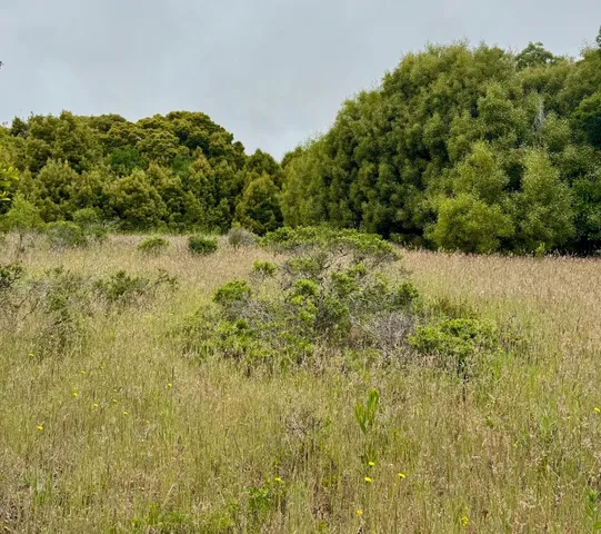 $85,000 | 0 Bonita, Half Moon Bay, CA 94019