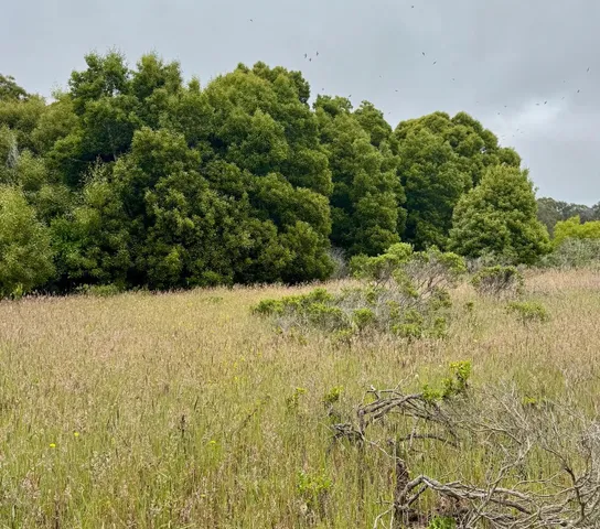 $85,000 | 0 Bonita, Half Moon Bay, CA 94019