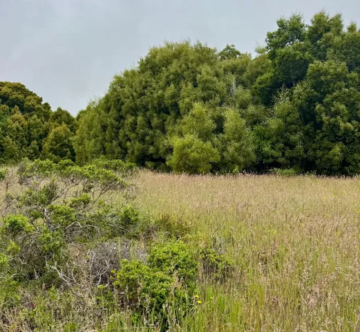 $85,000 | 0 Bonita, Half Moon Bay, CA 94019