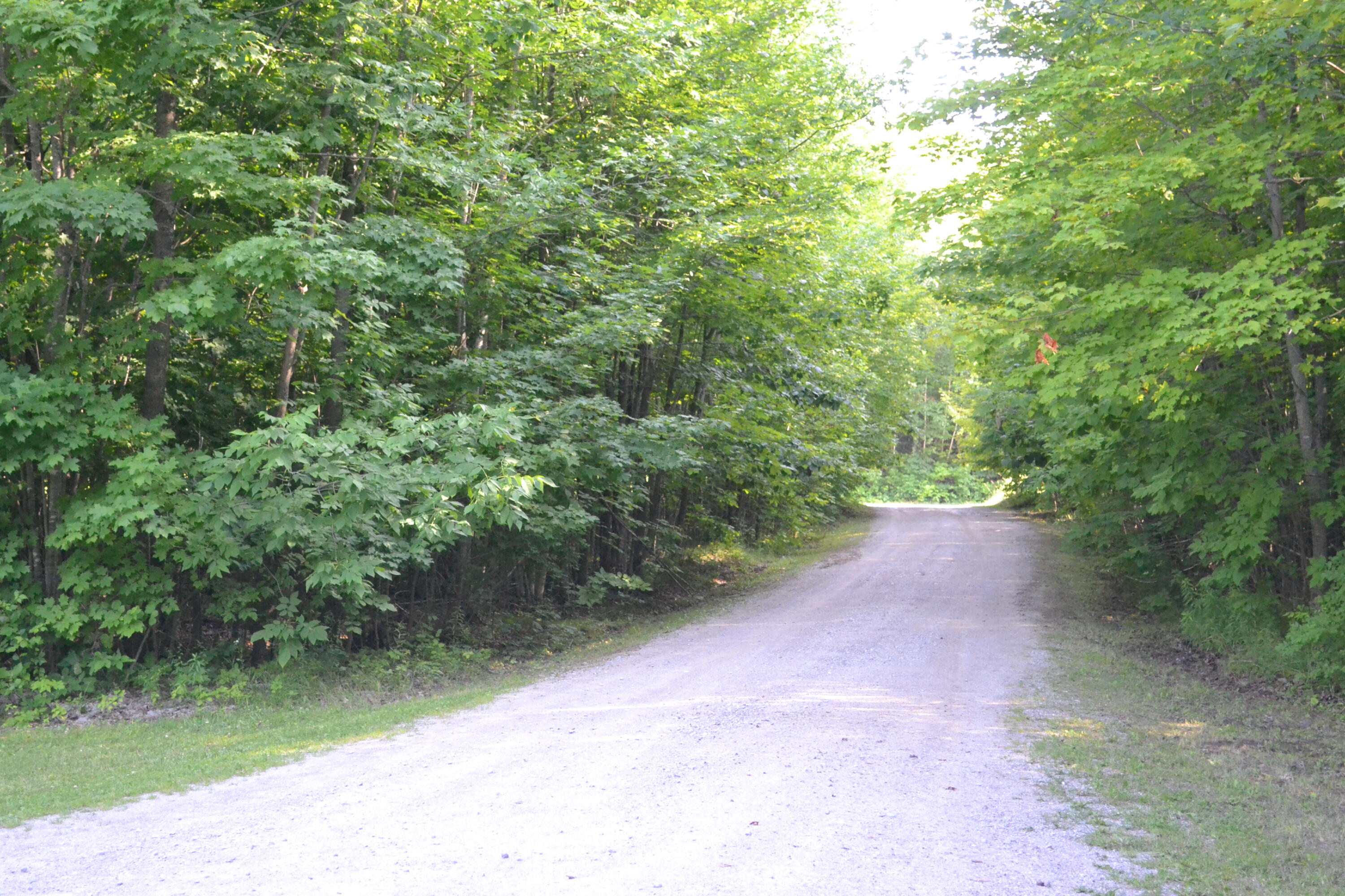 22990 Cohoon Road Hillman, MI 49746 - Photo 27 of 35 Gallery Image 27