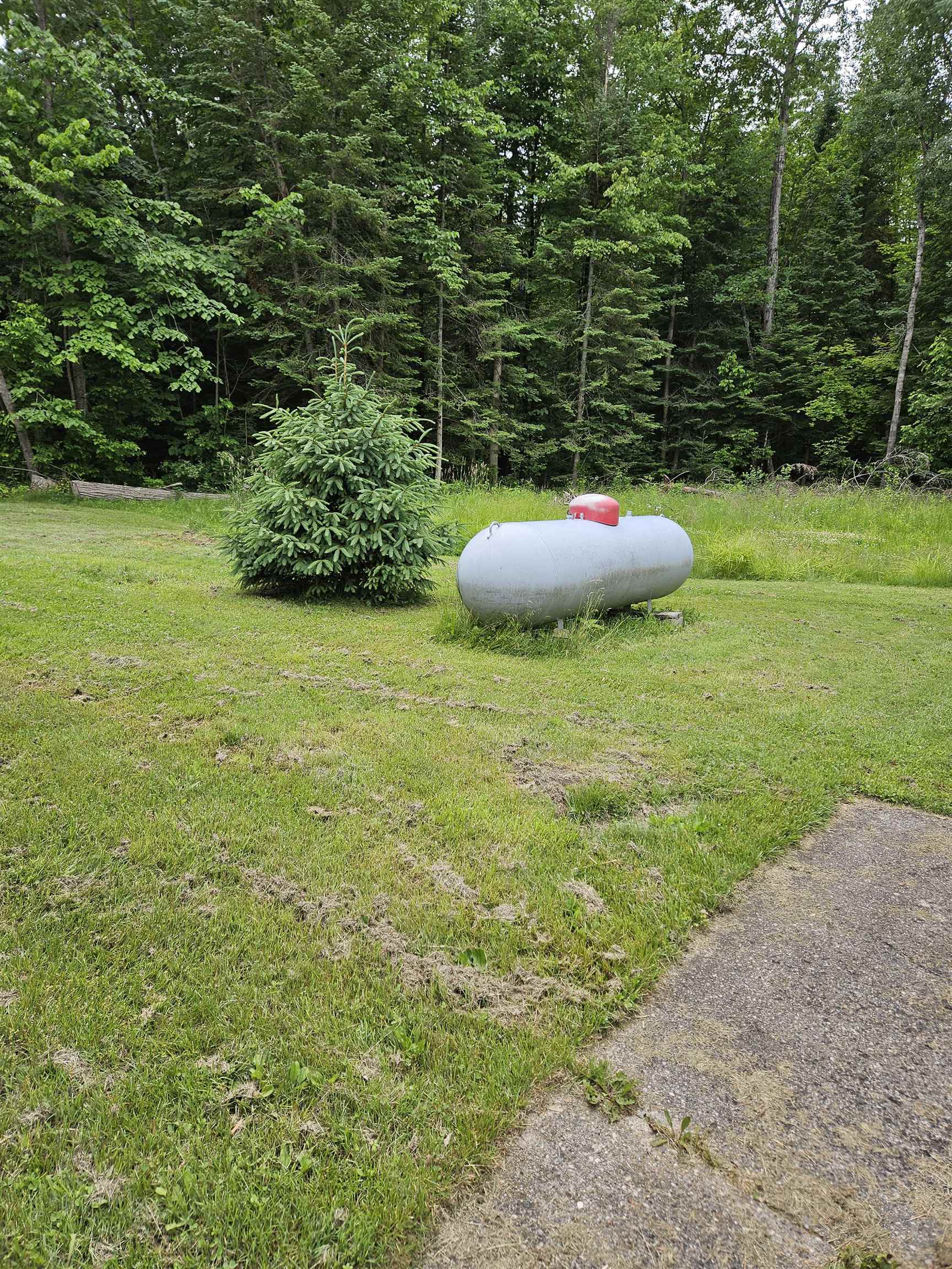 4627 Wildwood Road Alger, MI 48610 - Photo 7 of 7