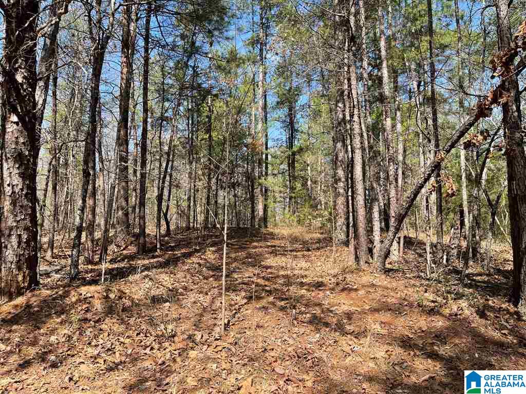 0 Chinnabee Road, Unit 1 Munford, AL 36268 - Photo 1 of 3