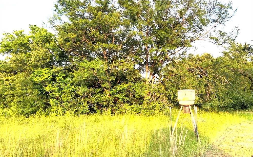 3950 Fm 47 Wills Point Wills Point, TX 75169 - Photo 14 of 16 a view of a yard with swimming pool