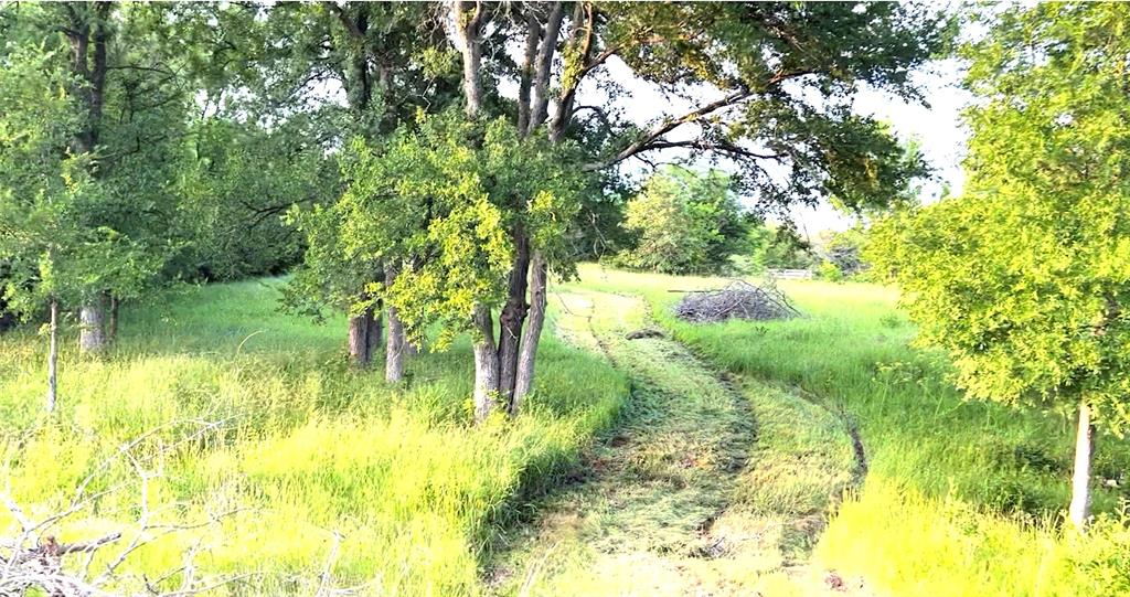 3950 Fm 47 Wills Point Wills Point, TX 75169 - Photo 15 of 16 a view of a garden