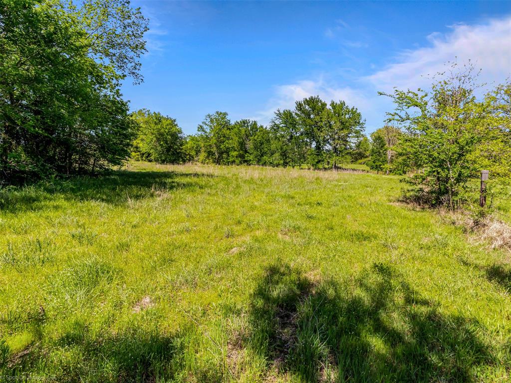 3950 Fm 47 Wills Point Wills Point, TX 75169 - Photo 6 of 16 a view of a yard