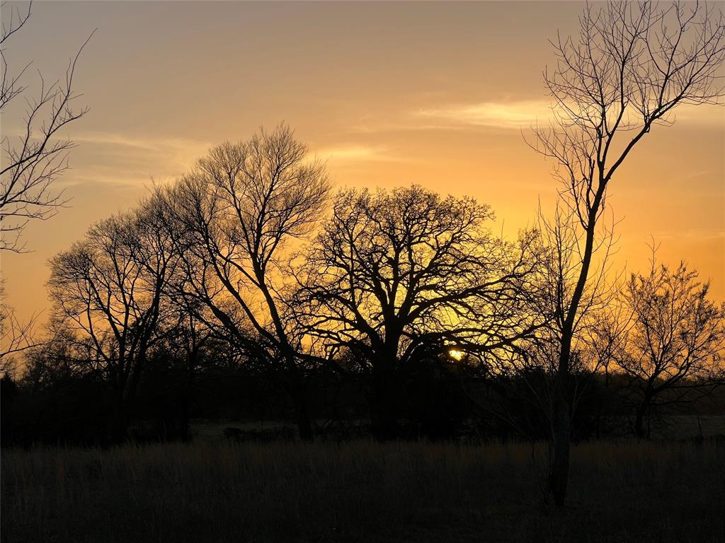 3950 Fm 47 Wills Point Wills Point, TX 75169 - Photo 9 of 16 a view of outdoor space