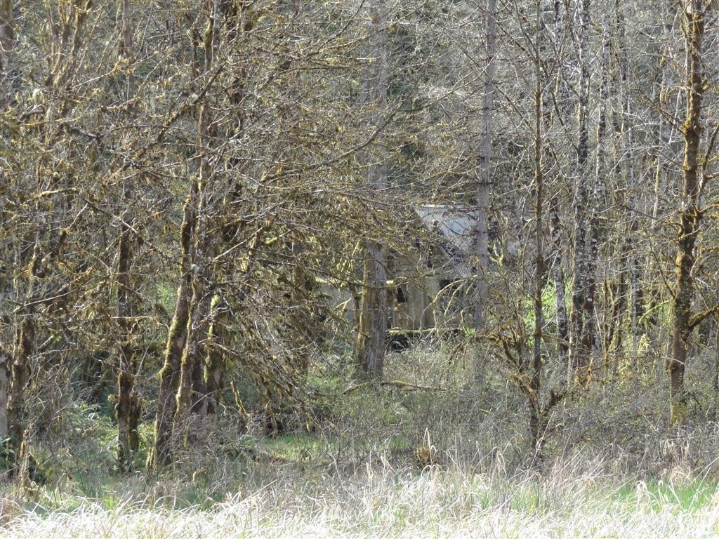 0 Byrd Road Toledo, WA 98591 - Photo 11 of 23 Gallery Image 11
