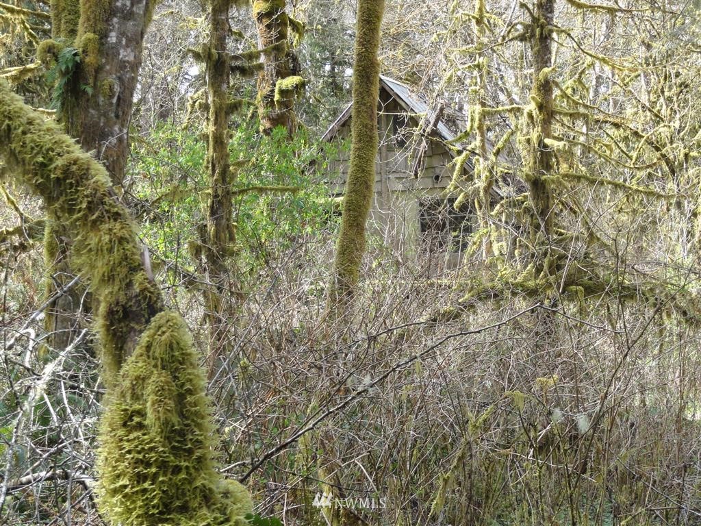 0 Byrd Road Toledo, WA 98591 - Photo 13 of 23 Gallery Image 13