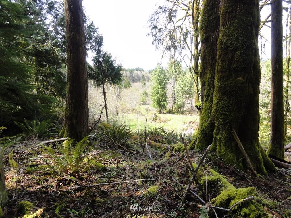0 Byrd Road Toledo, WA 98591 - Photo 23 of 23 Gallery Image 23