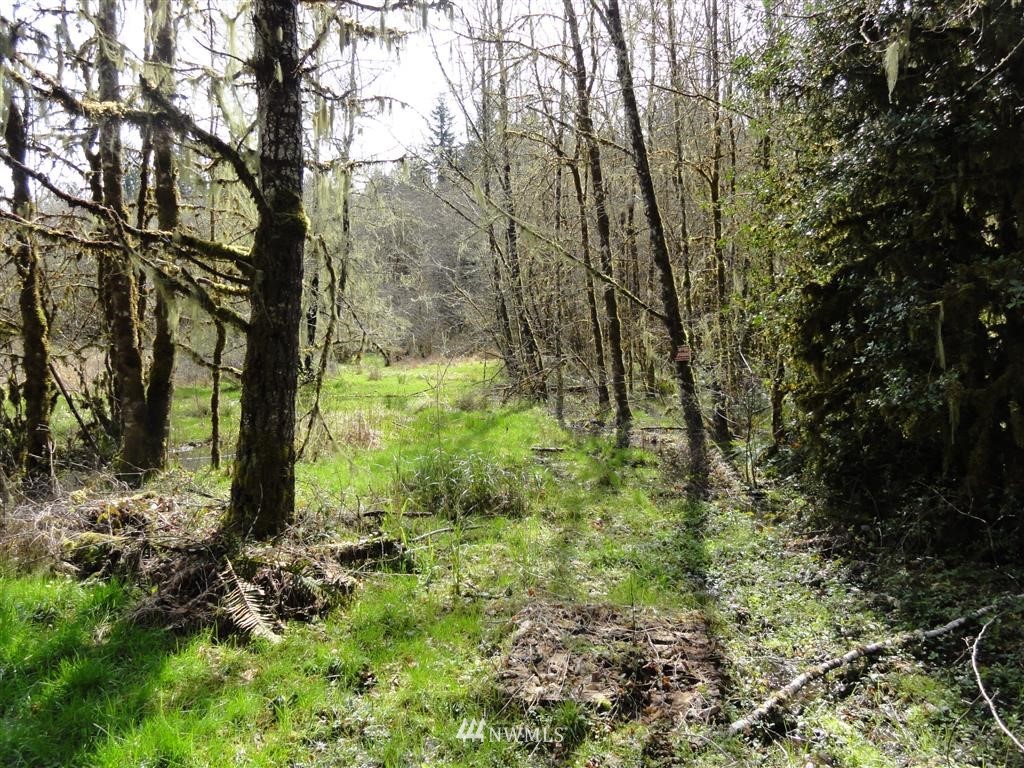 0 Byrd Road Toledo, WA 98591 - Photo 7 of 23 Gallery Image 7