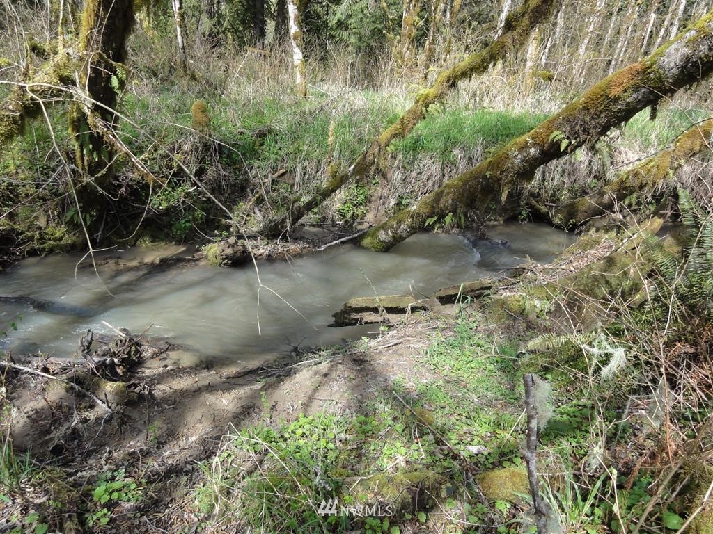 0 Byrd Road Toledo, WA 98591 - Photo 8 of 23 Gallery Image 8