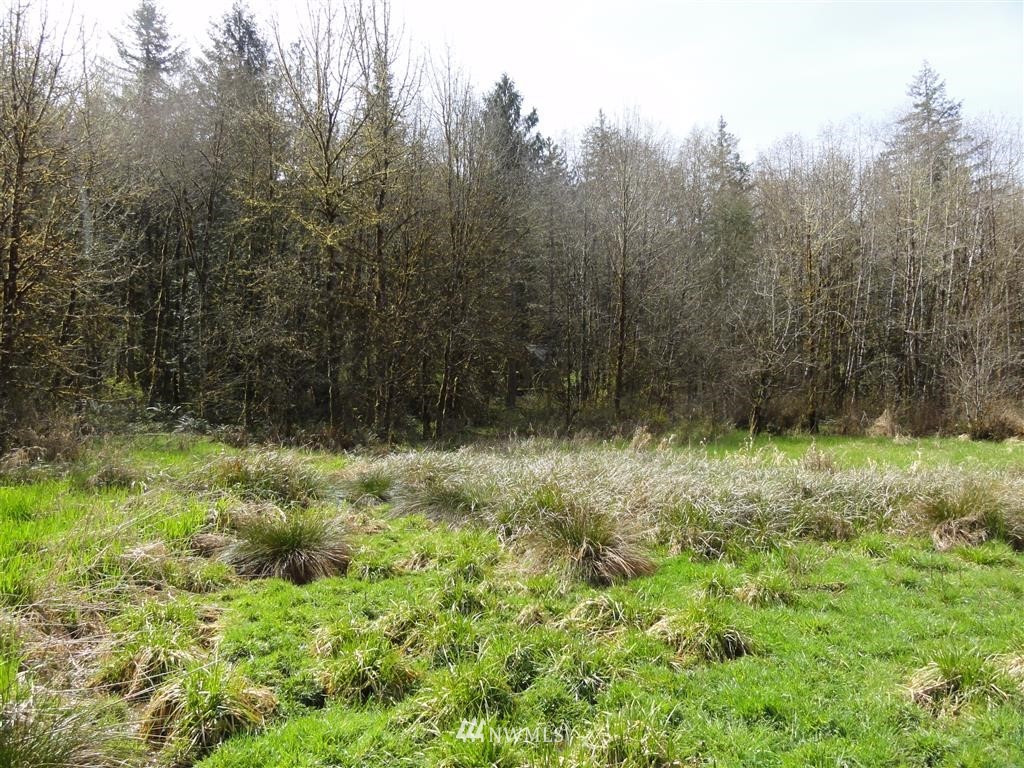 0 Byrd Road Toledo, WA 98591 - Photo 10 of 23 Gallery Image 10