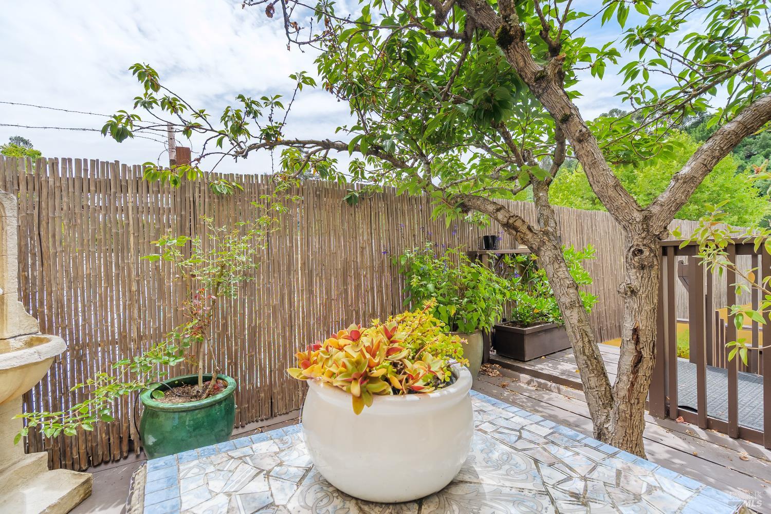 2022 4th Street San Rafael, CA 94901 - Photo 21 of 28