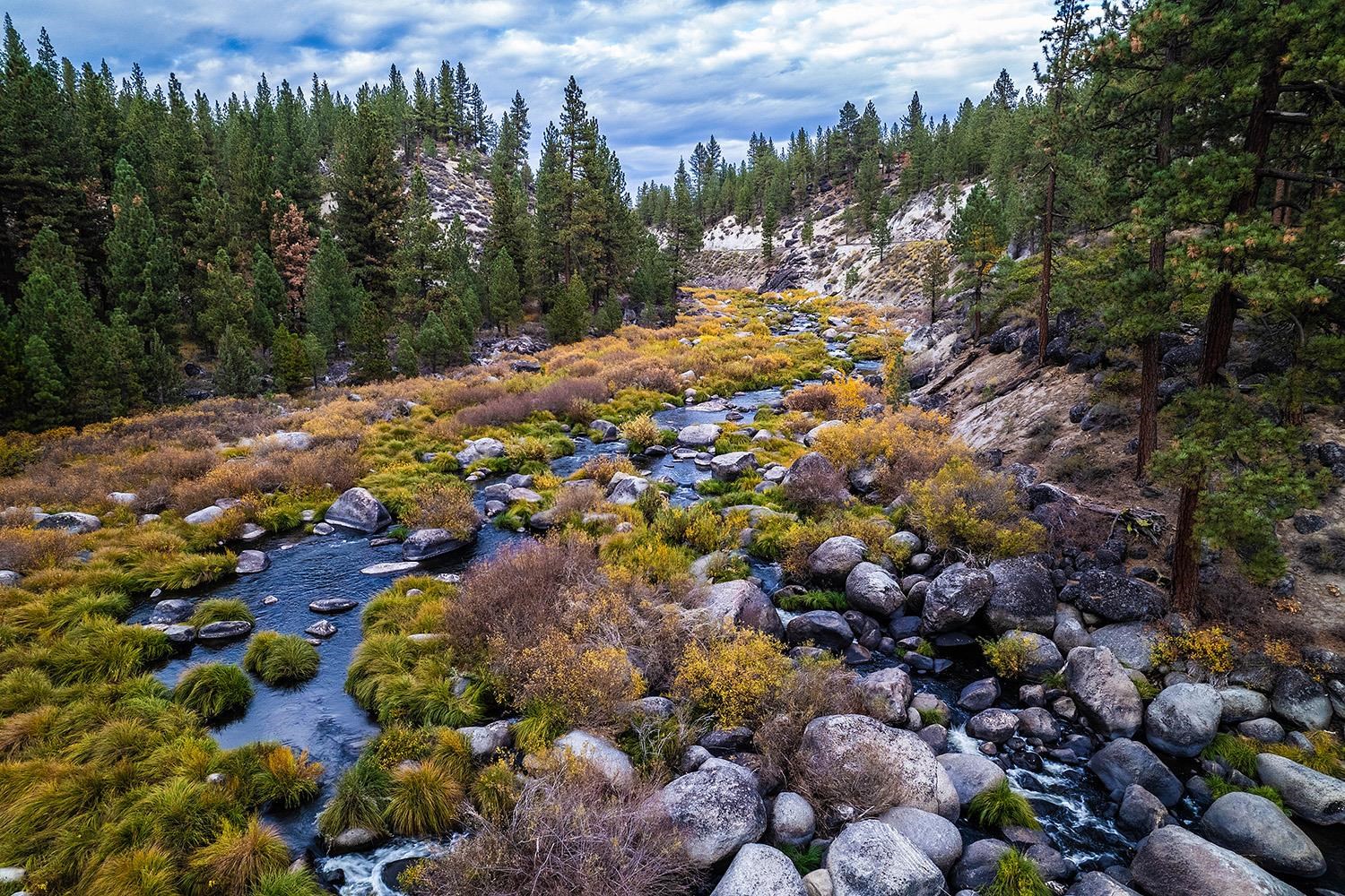 878 Deer Trail Clio, CA 96106 - Photo 20 of 21 a view of a city