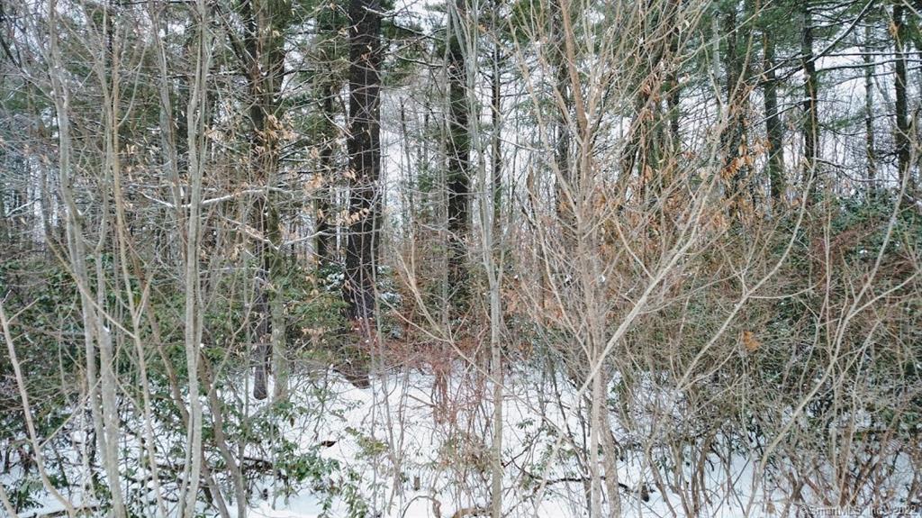 0 Bohun (map 46 Road Colebrook, CT 06021 - Photo 1 of 1