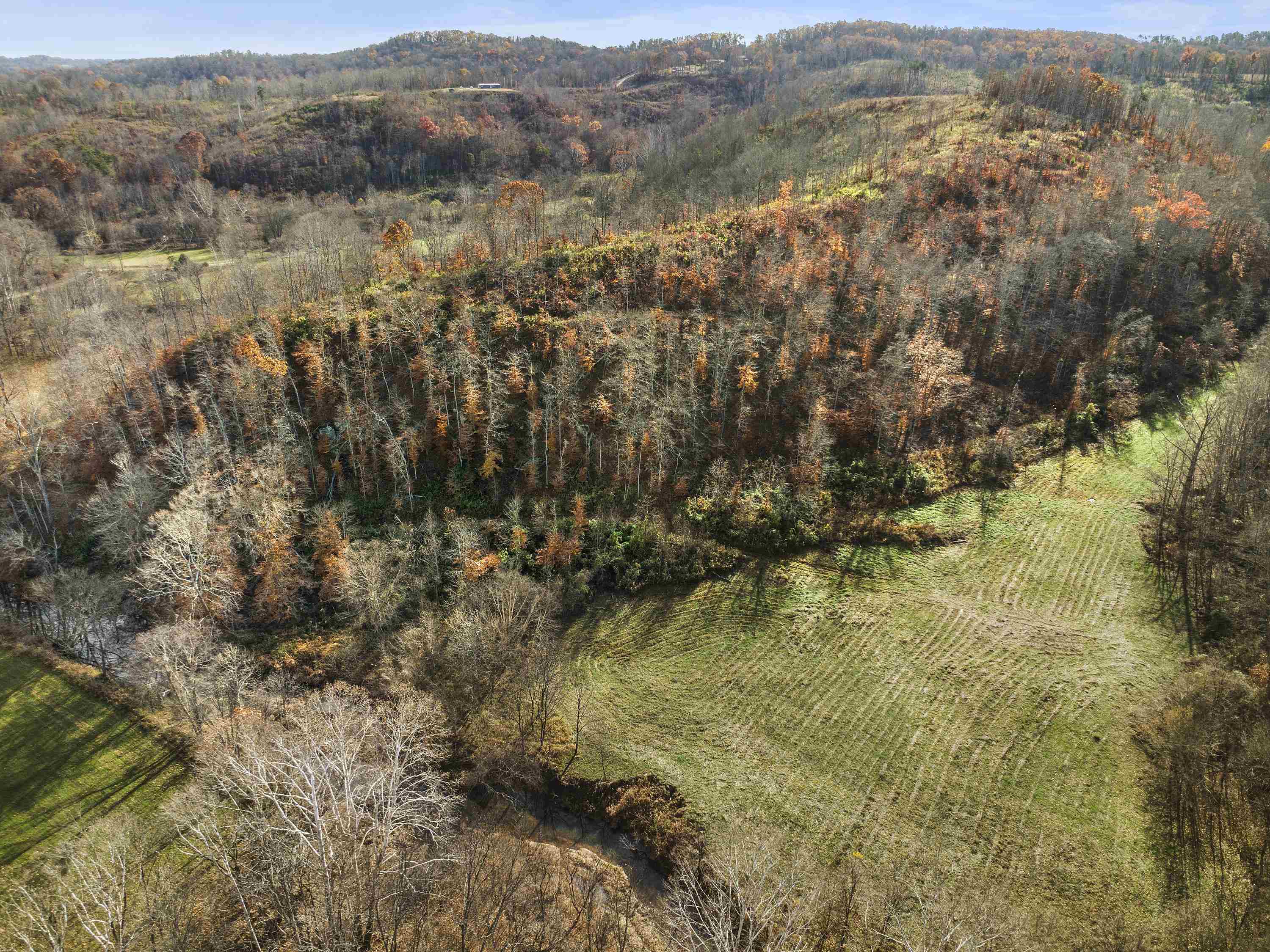 0 Tate Hollow Road Louisa, KY 41230 - Photo 14 of 50