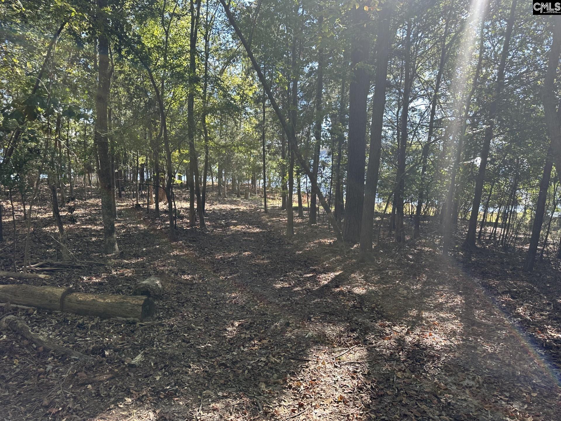 0 Circle H Woods Road Prosperity, SC 29127 - Photo 5 of 7