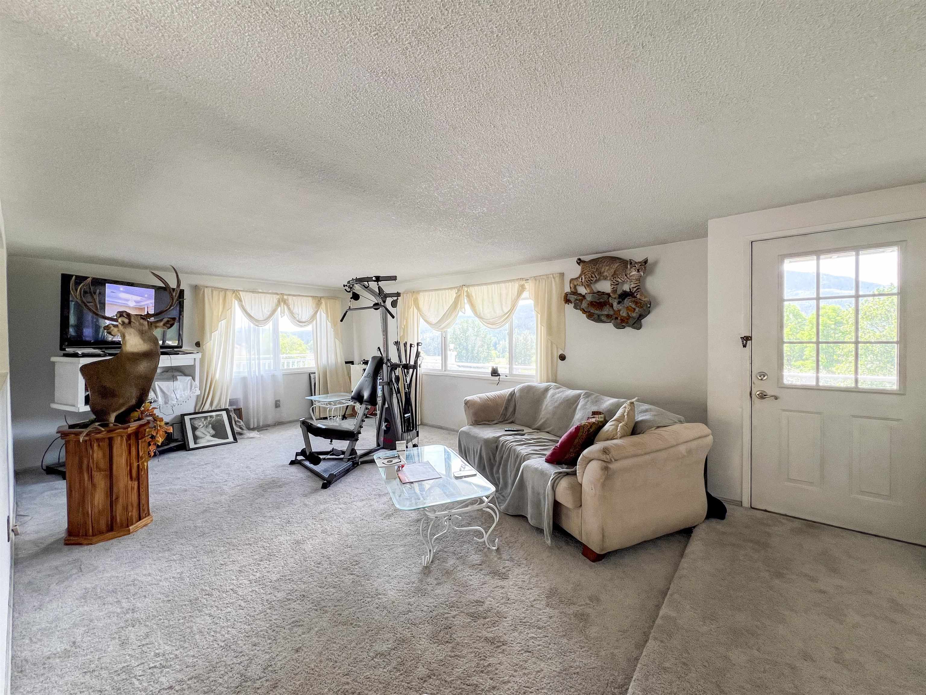 598 North 395th Highway Kettle Falls, WA 99141 - Photo 4 of 50