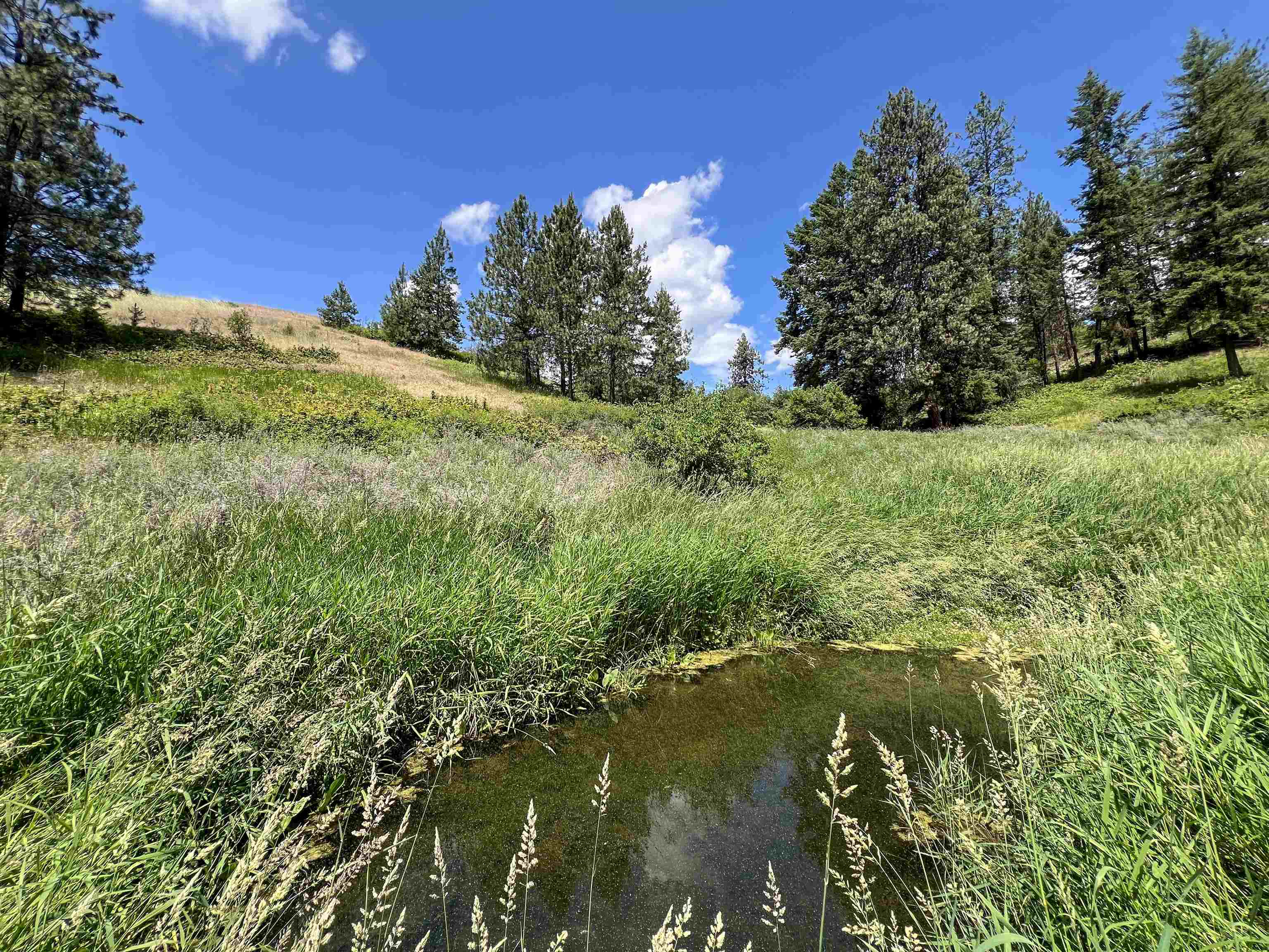 598 North 395th Highway Kettle Falls, WA 99141 - Photo 45 of 50