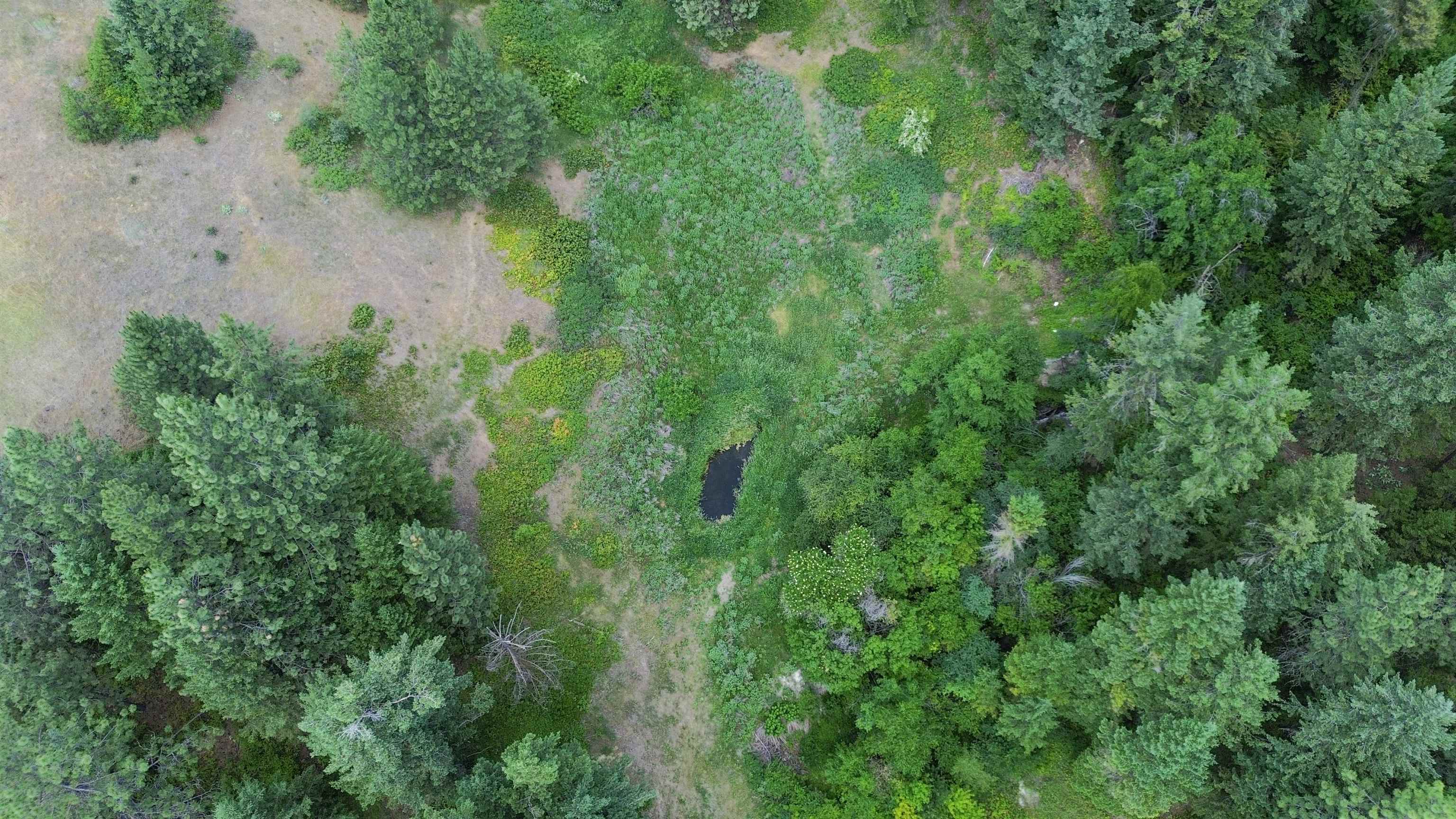 598 North 395th Highway Kettle Falls, WA 99141 - Photo 46 of 50