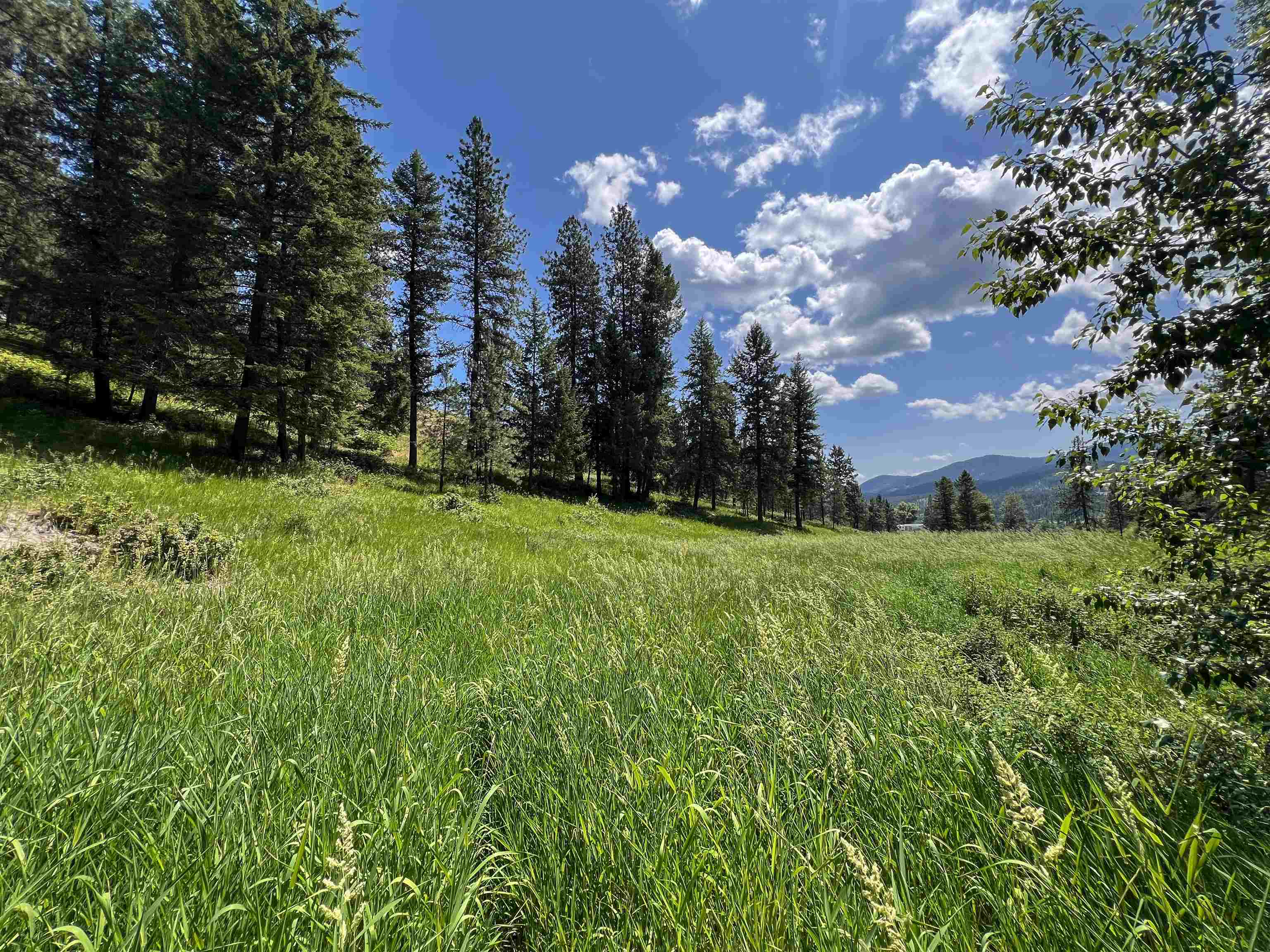 598 North 395th Highway Kettle Falls, WA 99141 - Photo 48 of 50