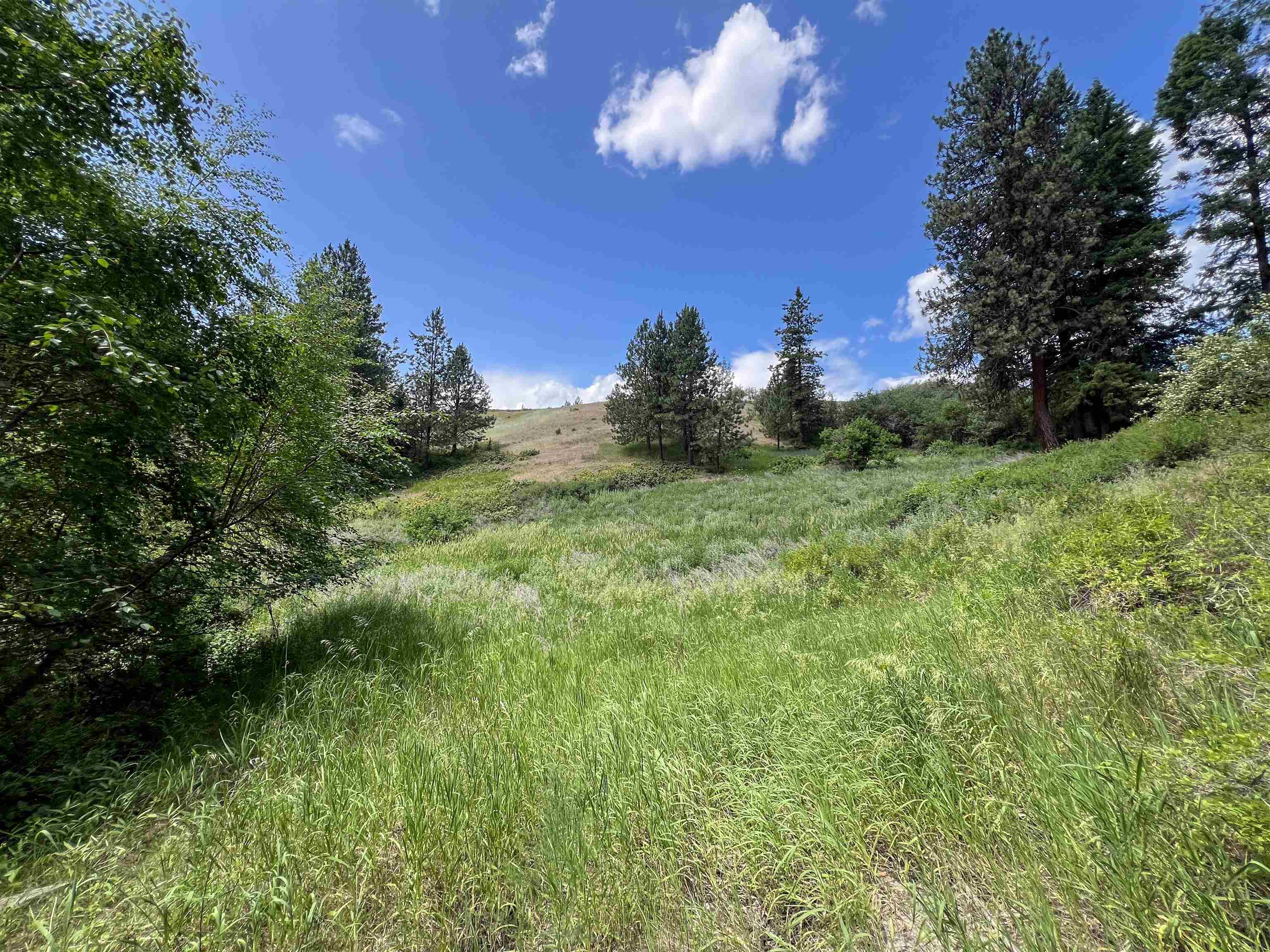 598 North 395th Highway Kettle Falls, WA 99141 - Photo 49 of 50