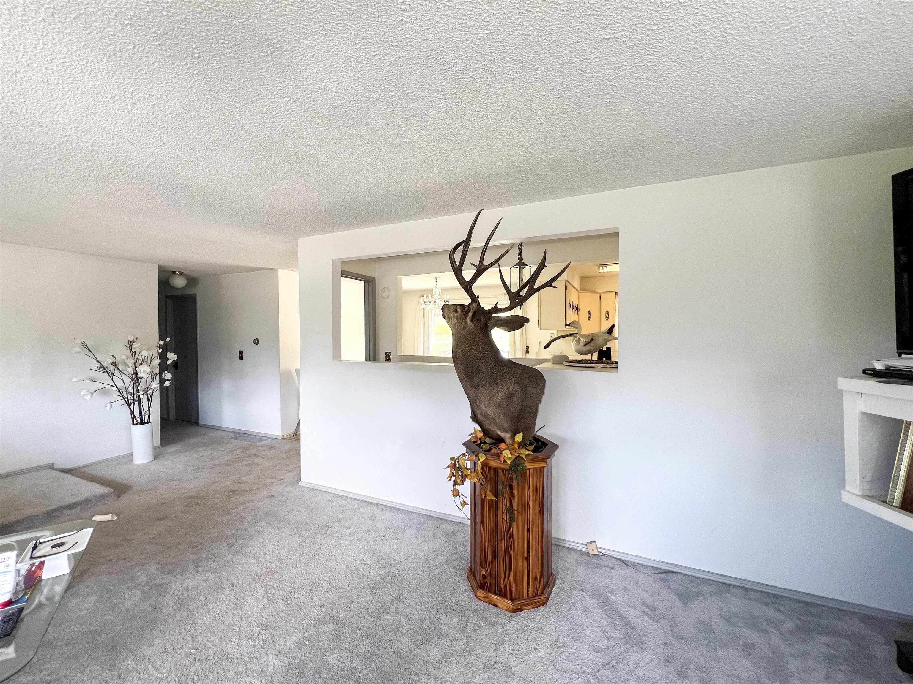 598 North 395th Highway Kettle Falls, WA 99141 - Photo 5 of 50