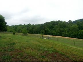 363 Pactolus Road Kingsport, TN 37664 - Photo 24 of 24 Photo 24