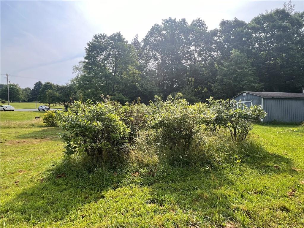 2612 Canoe Ridge Road Rossiter, PA 15772 - Photo 18 of 28 a view of a lake with a yard