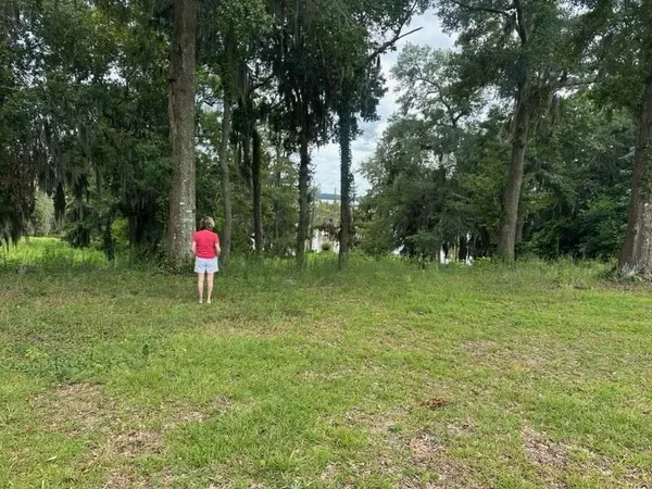 a view of a park