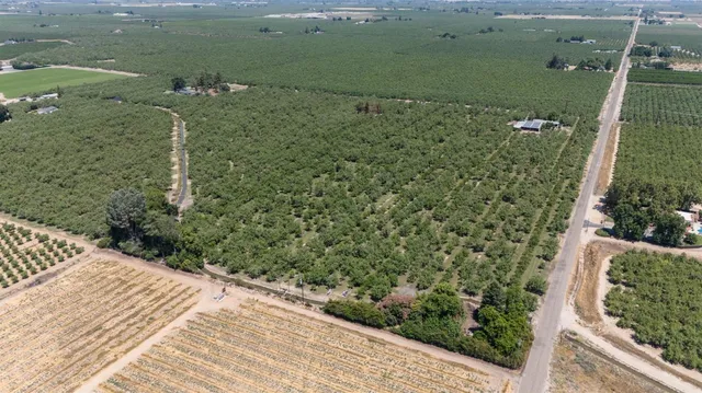 a view of a garden with a lake