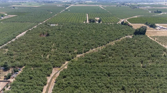 a view of a lake from a yard