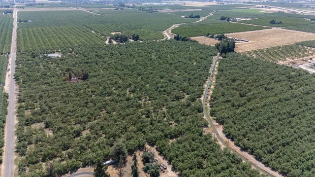 a view of a lake with a city