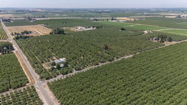 a view of a lake with a city view
