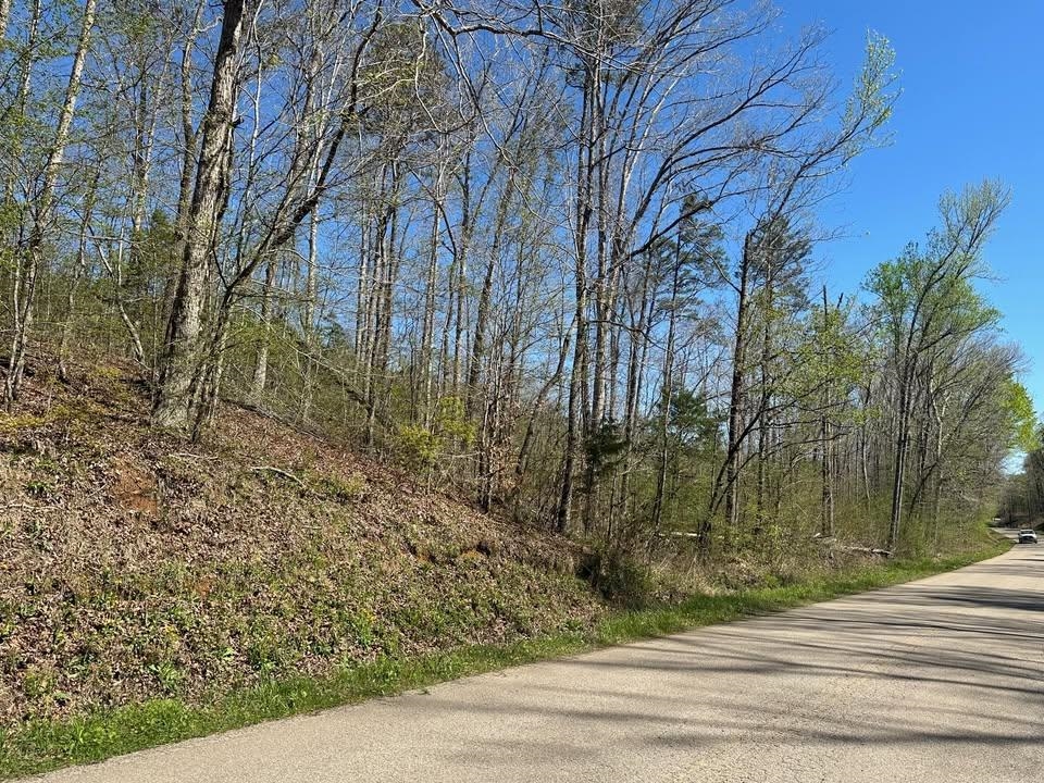 4 Bruton Branch Road Savannah, TN 38372 - Photo 2 of 11 View of asphalt road