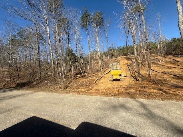 4 Bruton Branch Road Savannah, TN 38372 - Photo 3 of 11 View of yard