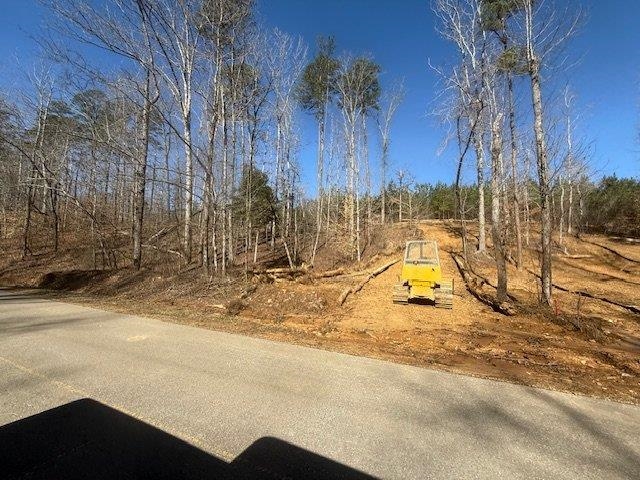 4 Bruton Branch Road Savannah, TN 38372 - Photo 4 of 11 View of asphalt street