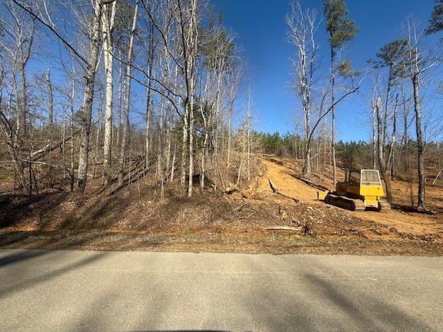 4 Bruton Branch Road Savannah, TN 38372 - Photo 5 of 11 View of asphalt road