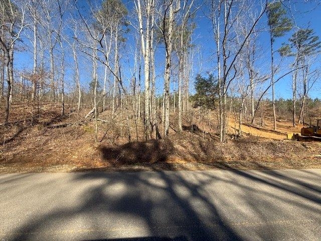 4 Bruton Branch Road Savannah, TN 38372 - Photo 6 of 11 View of asphalt street