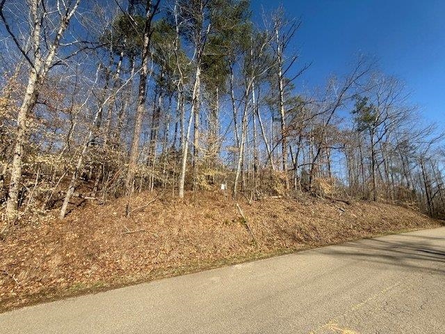 4 Bruton Branch Road Savannah, TN 38372 - Photo 7 of 11 View of asphalt street
