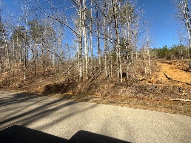 4 Bruton Branch Road Savannah, TN 38372 - Photo 8 of 11 View of asphalt road