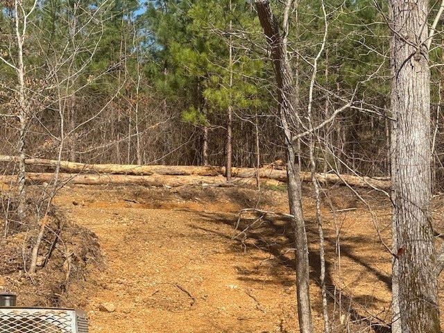 4 Bruton Branch Road Savannah, TN 38372 - Photo 9 of 11 View of local wilderness