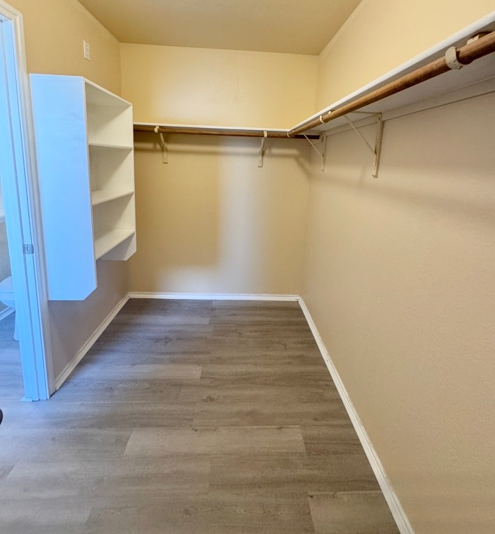 12809 Wood Lily Trail Elgin, TX 78621 - Photo 16 of 26 Walk in closet featuring light wood-style floors