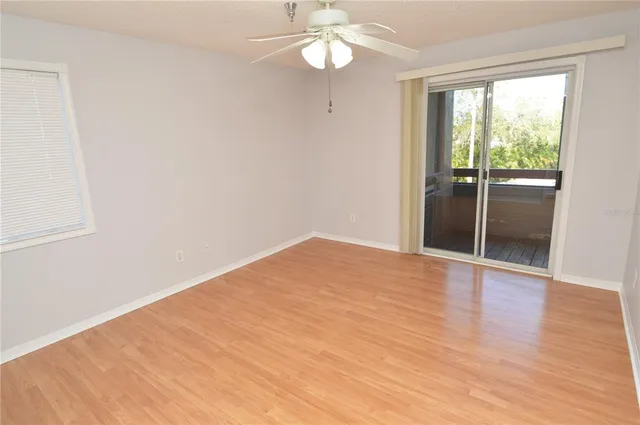 a row of palm trees and swimming pool in the backyard of a house